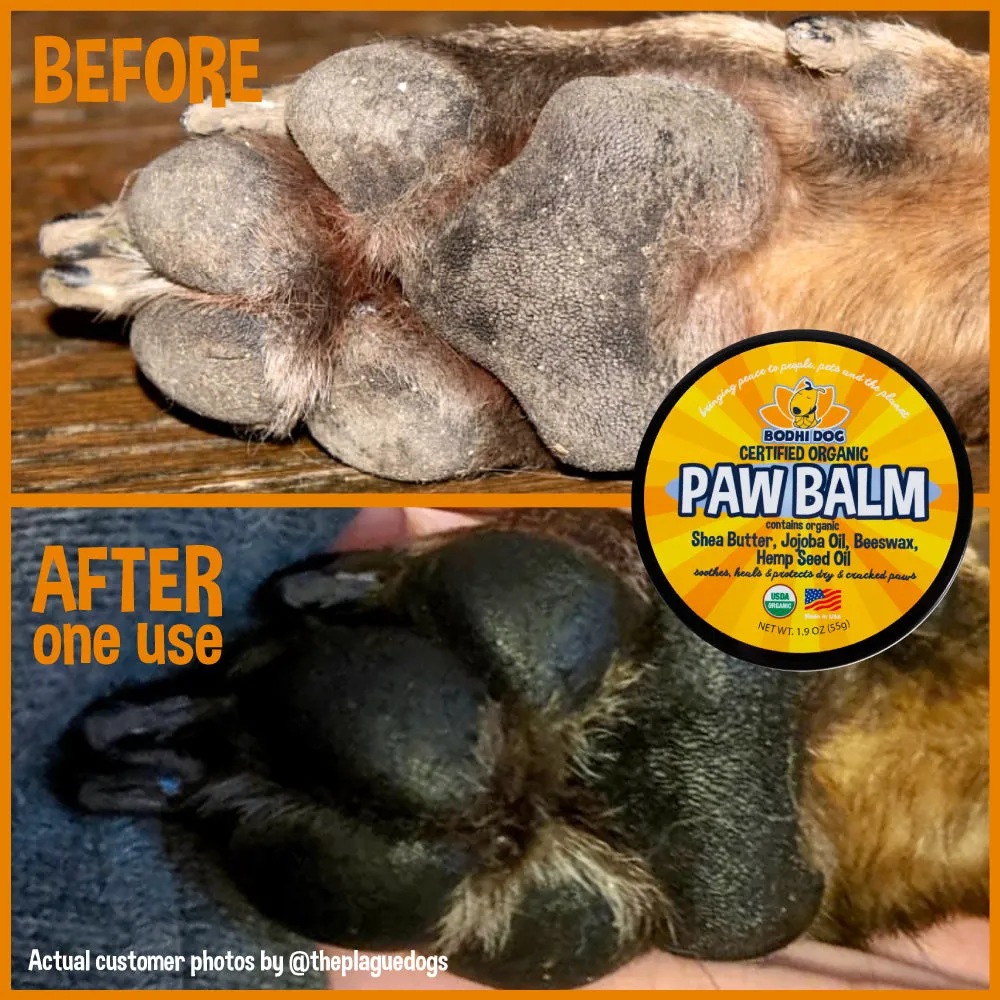 Bodhi Dog Paw Balm | USDA Certified Organic | Natural Soothing & Healing for Dry Cracking Rough Pet Skin | Protect & Restore Cracked and Chapped Dog and Cat Paws & Pads | Better Than Paw Wax | Made in USA