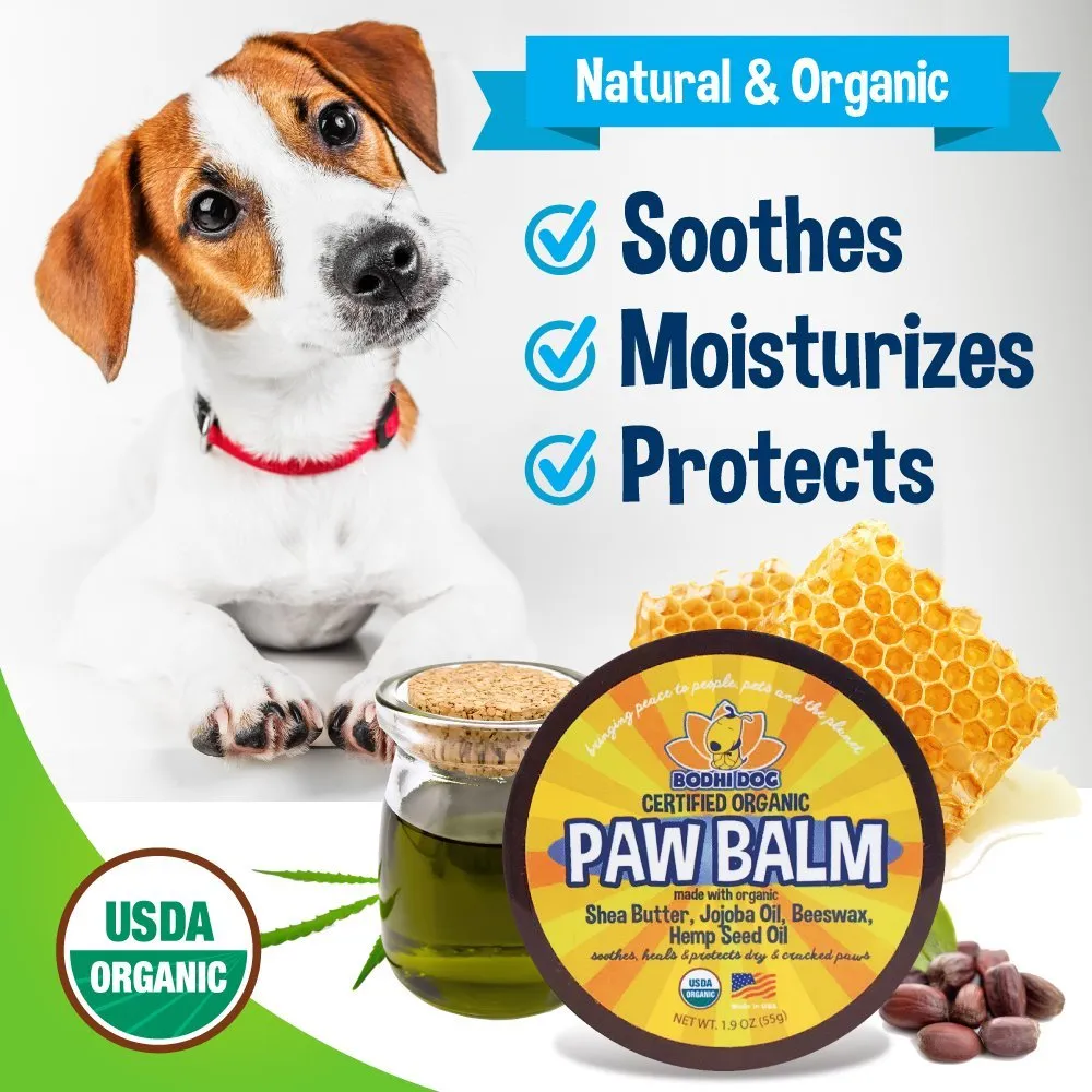 Bodhi Dog Paw Balm | USDA Certified Organic | Natural Soothing & Healing for Dry Cracking Rough Pet Skin | Protect & Restore Cracked and Chapped Dog and Cat Paws & Pads | Better Than Paw Wax | Made in USA