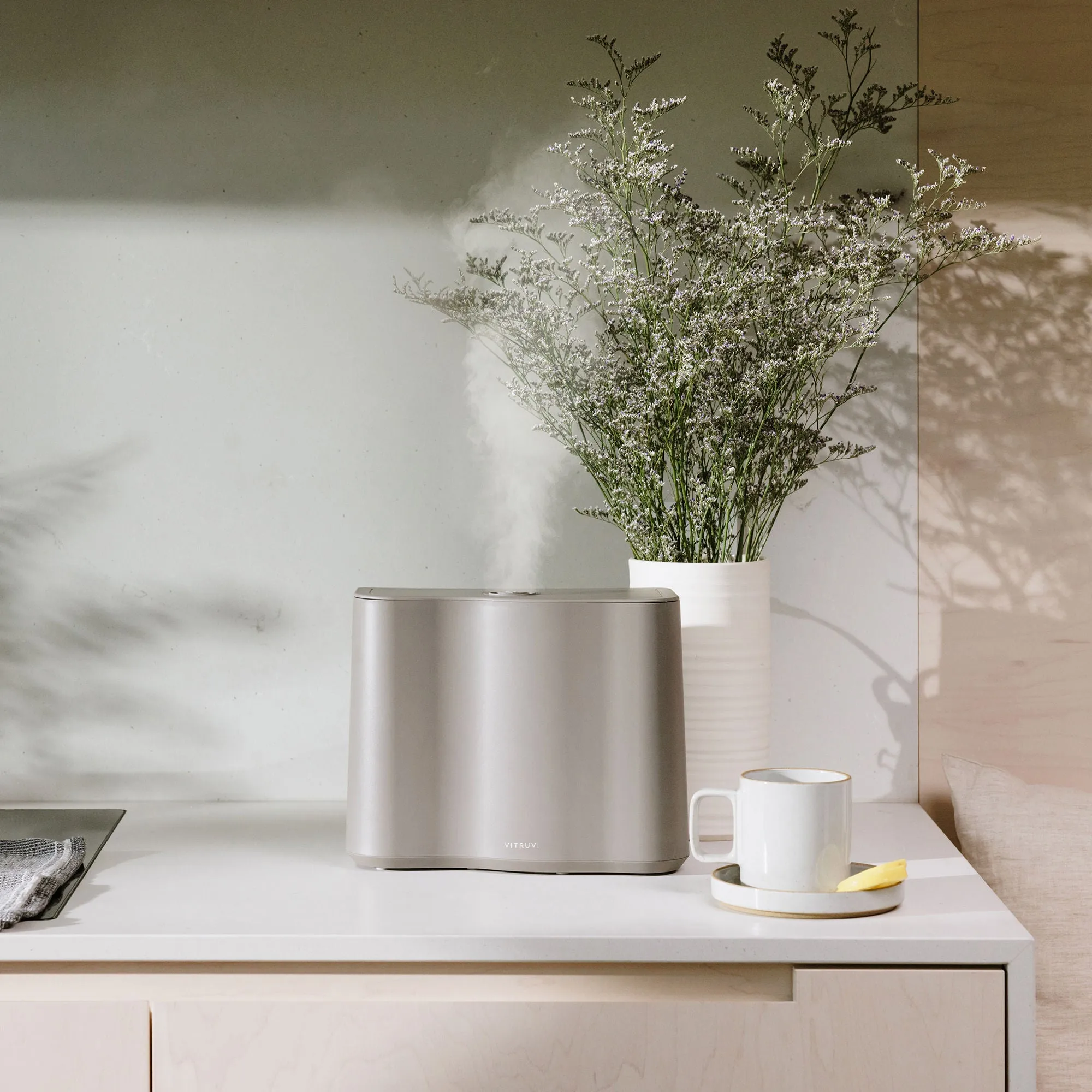 Cloud Humidifier