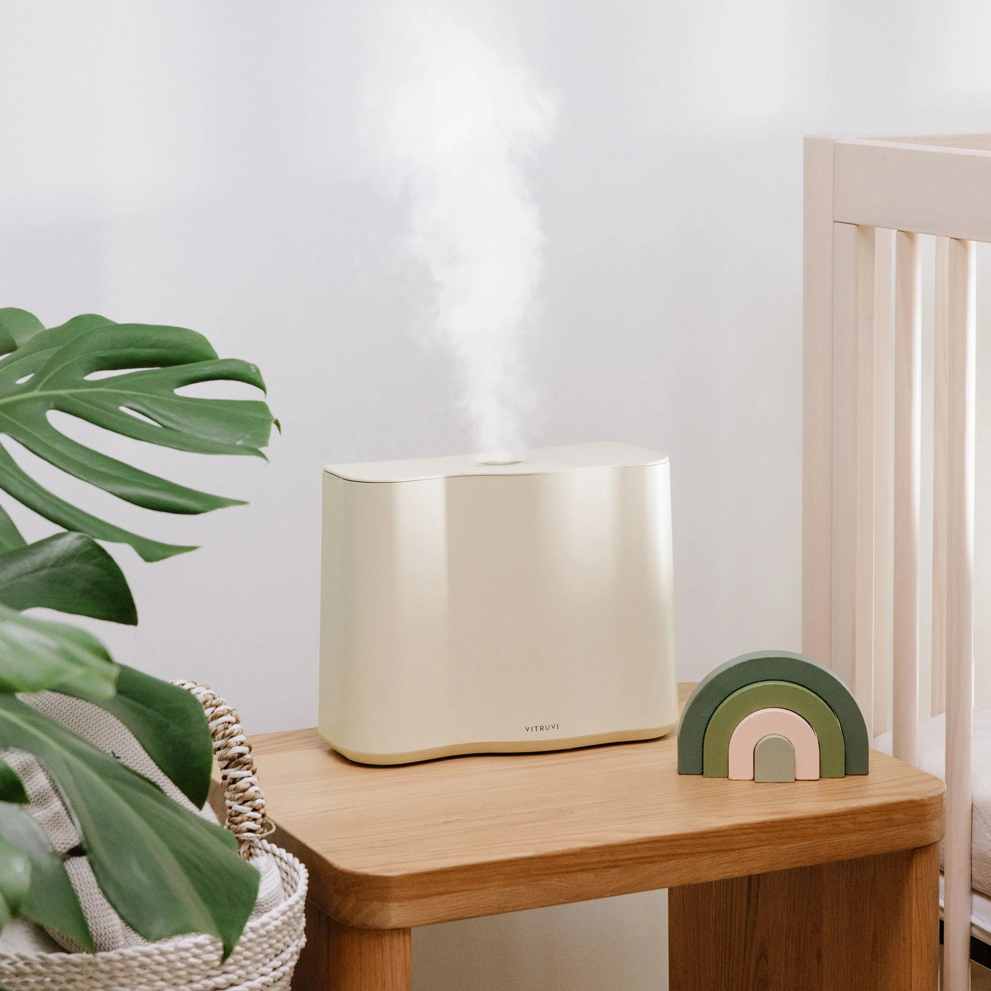 Cloud Humidifier