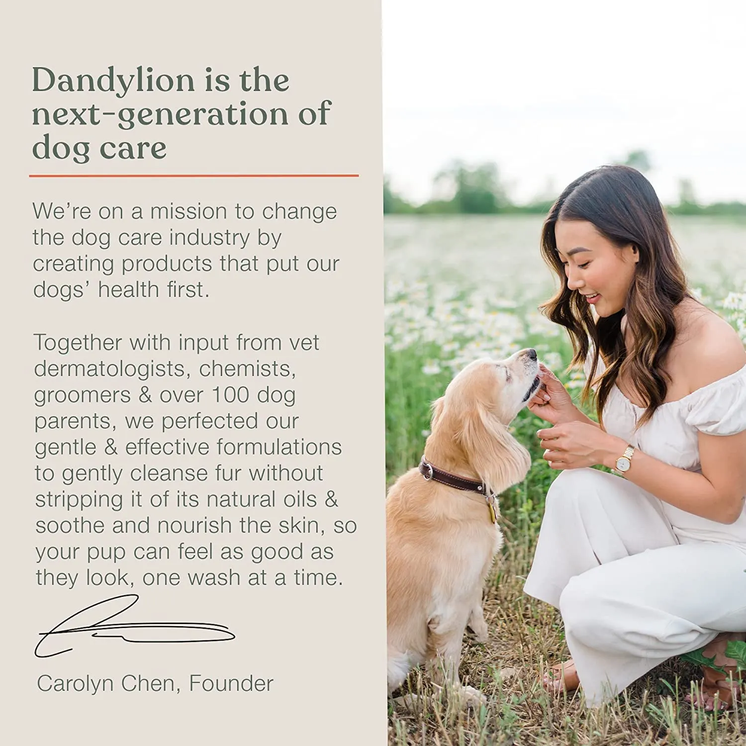 dandylion clean paws - no rinse foaming cleanser