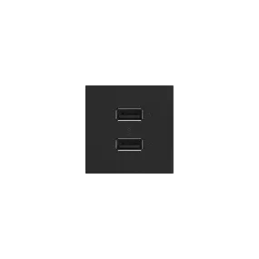 Full-Size, A/A USB Outlet, Graphite
