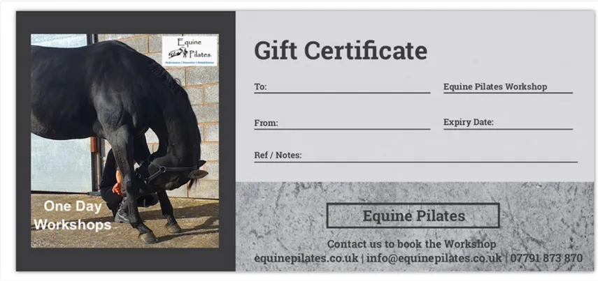Gift Voucher - Equine Pilates Workshop