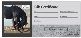 Gift Voucher - Equine Pilates Workshop