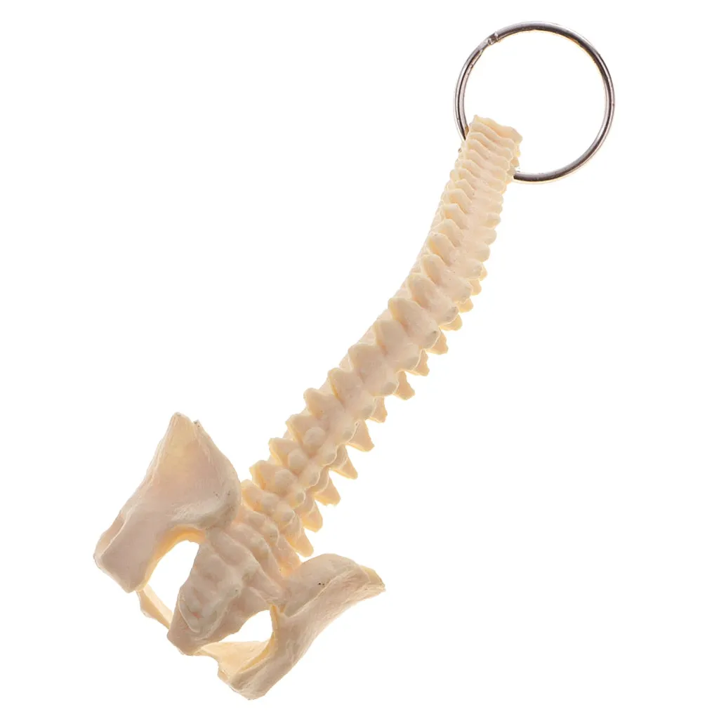 Mini PVC Material Handcrafted Human Spine Skeleton Model Keychain for School Teaching Aid Ornament Novelty Present