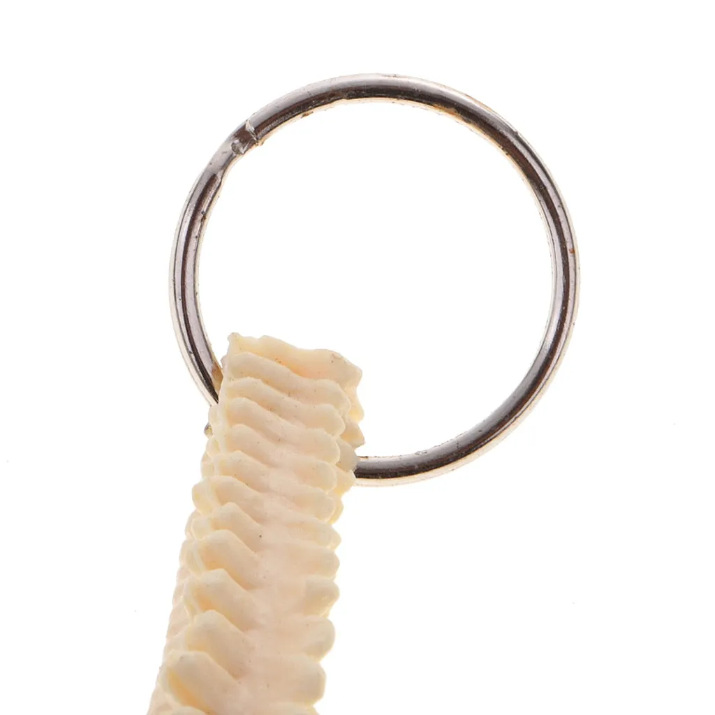 Mini PVC Material Handcrafted Human Spine Skeleton Model Keychain for School Teaching Aid Ornament Novelty Present