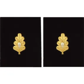 Navy Sleeve Device: Medical Corps