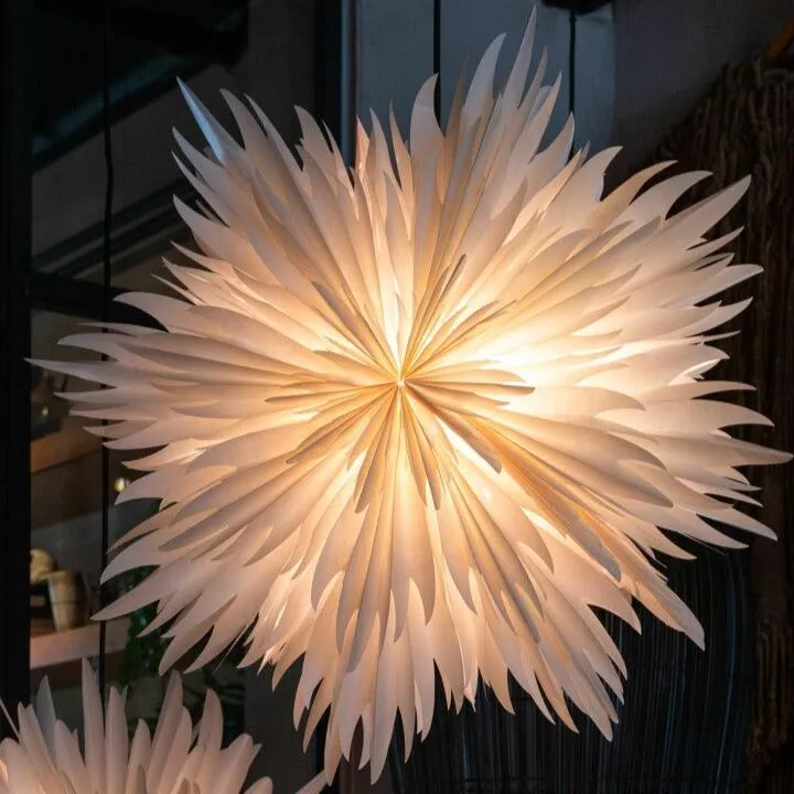 Paper Star Stella Magnolia