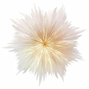 Paper Star Stella Magnolia