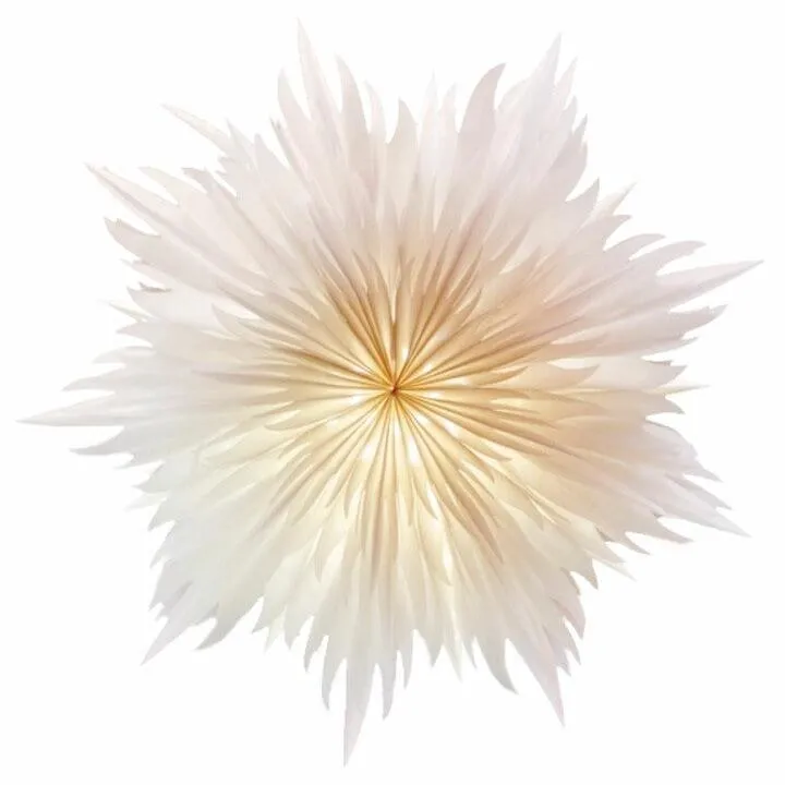 Paper Star Stella Magnolia