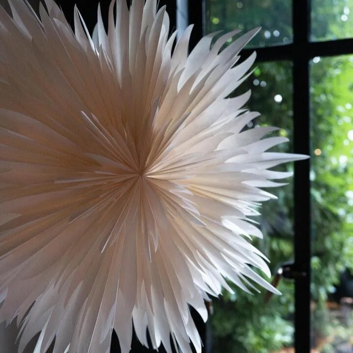 Paper Star Stella Magnolia