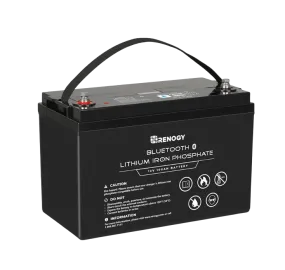 Renogy RBT100LFP12-BT-US 100Ah 12V Lithium Iron Phosphate Battery with Built-in Bluetooth BMS IP65 New
