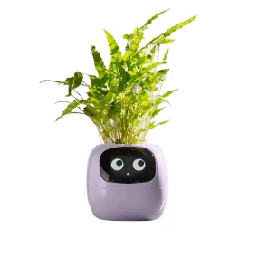 Smart Flowerpots Artificial Intelligence