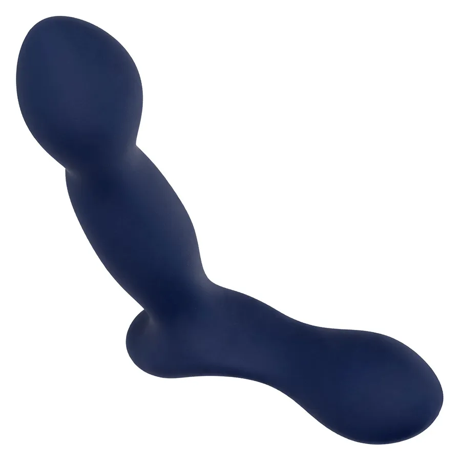 Viceroy Platinum Series Expert Blue Silicone Anal Probe by Cal Exotics